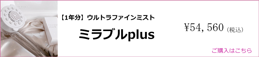 1年分 ウルトラファインミスト ミラブルplus購入はこちら